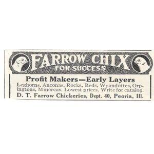 Farrow Chix D.T. Farrow Chickeries Peoria IL 1924 Magazine Ad AF7-SS4